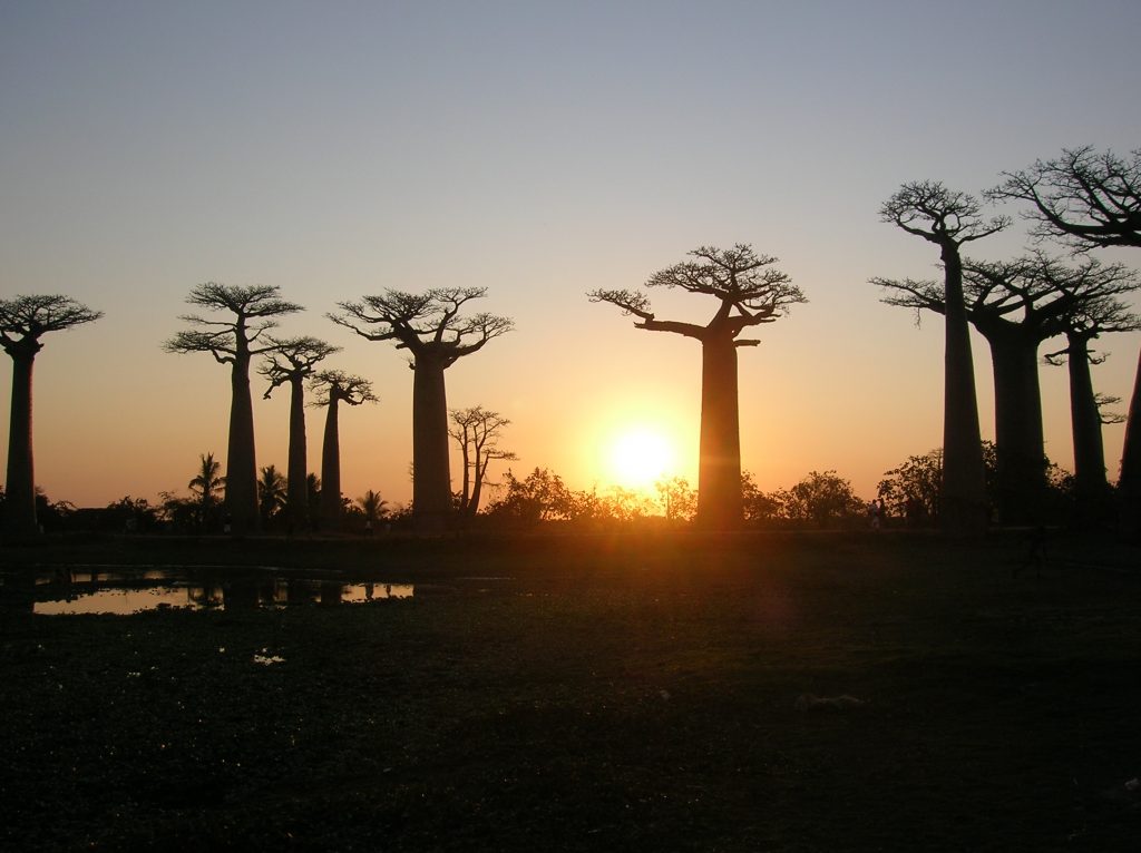 Circuit Touristique  Madagascar